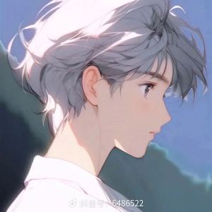 Call Of Silence的演奏视频