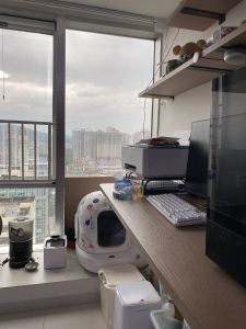 是月尊啊。43（蛋ID）的个人空间