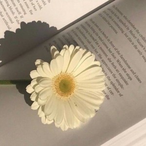 云栖谷的钢琴谱