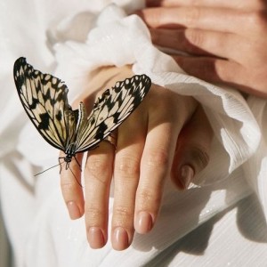 一念的演奏视频