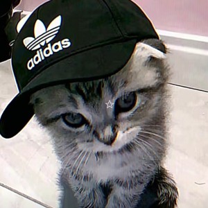 139****2518的个人空间