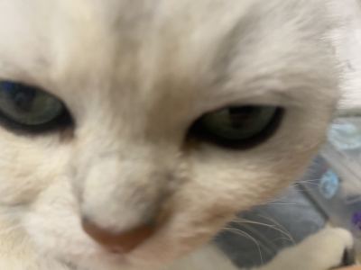 Reese-x的个人空间