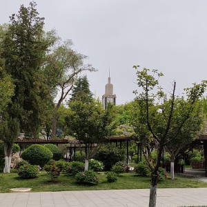 车尔尼599 No.24的演奏视频