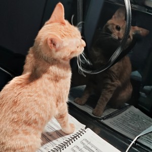 命门的演奏视频