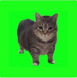 双人彳亍。的个人空间