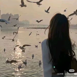 浠漠的钢琴谱