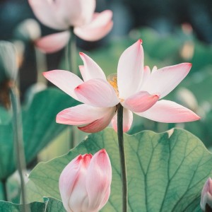 孤勇者的演奏视频