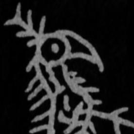 谢的个人空间