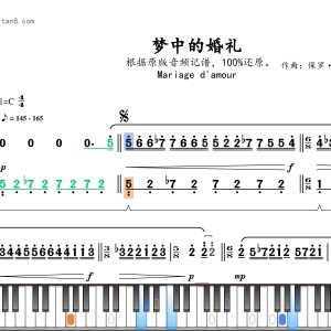 的演奏视频