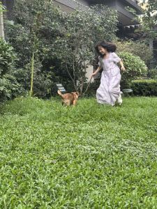 大鱼的演奏视频