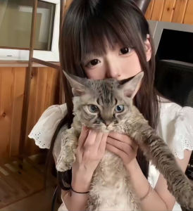 小毛驴的演奏视频