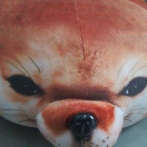 可爱的刀盾的钢琴谱