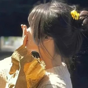 hvンクス的钢琴谱