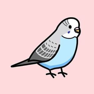 Belle Wong的钢琴谱