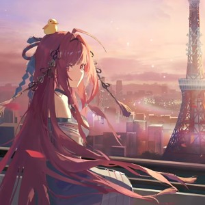 Eva的个人空间