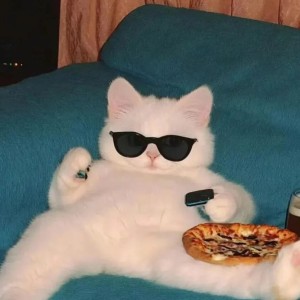 歆蕊 piano的个人空间