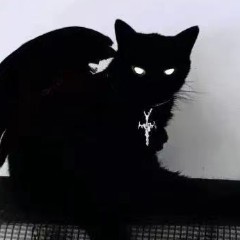 【S.O.V】的钢琴谱