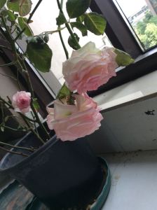 @小调🎶的钢琴谱