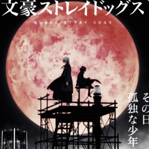 小王的个人空间