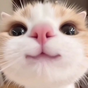 哟~的个人空间