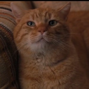 133****7530的钢琴谱