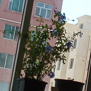 海瑟的个人空间