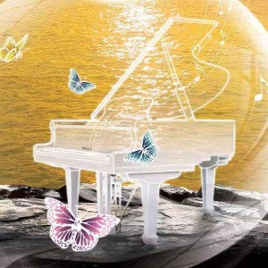 大鱼的演奏视频