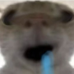 哈基米的钢琴谱