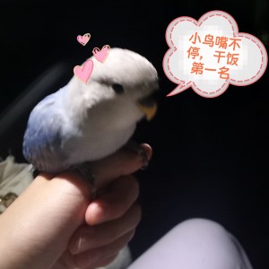 月下海的钢琴谱