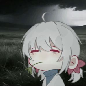 sky笙歌的钢琴谱