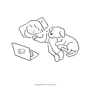 所念皆星河的演奏视频