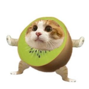 猕猴桃创世主的钢琴谱