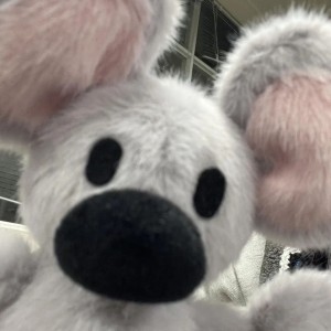 AMY伊🍀的钢琴谱