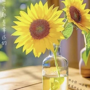 138****6699的钢琴谱