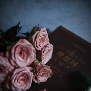 莫言的个人空间