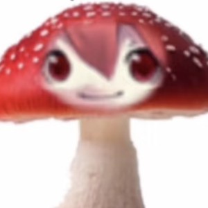 〔M.E.G.〕圣人菌子的钢琴谱