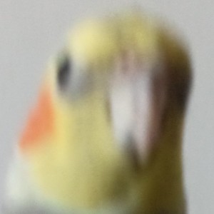 声声慢的演奏视频