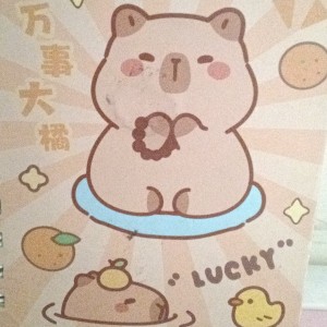 机灵姐的钢琴谱