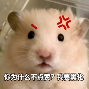 Summer的演奏视频