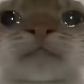 兑的钢琴谱