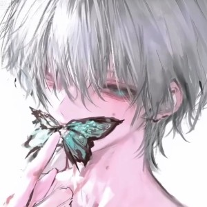 的演奏视频