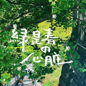 死别的演奏视频
