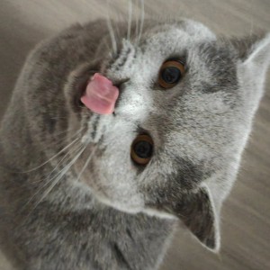 155****8392的钢琴谱
