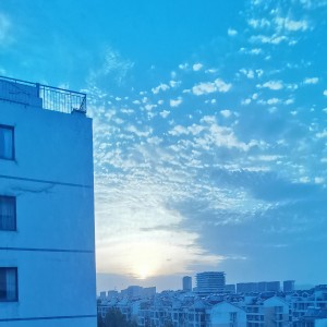 传承的钢琴谱