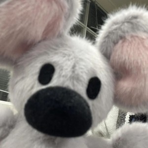 AMY伊🍀的钢琴谱