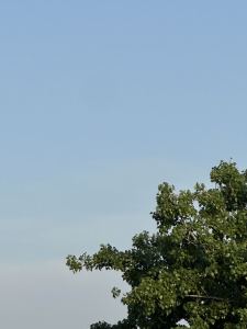sky花束₍⑅ᐢ..ᐢ₎的钢琴谱