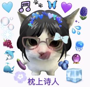 的演奏视频