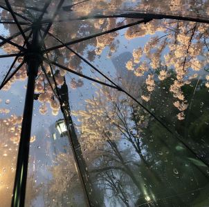柒栈的钢琴谱