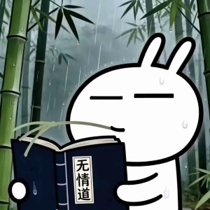 的演奏视频