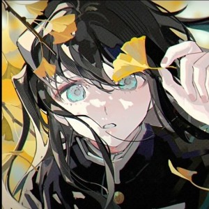 【鬼灭】透透的个人空间